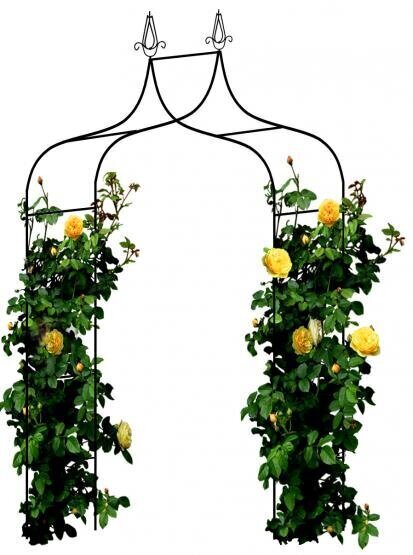 Garden Line metāla arka augiem, 150x37x240 cm cena un informācija | Ziedu statīvi, puķu podu turētāji | 220.lv