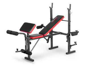 Тренировочная скамейка Neo-Sport NS-200 цена и информация | Тренировочные скамьи | 220.lv