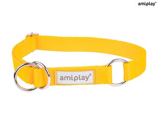 Полу-удушающий ошейник Amiplay Samba, M, Yellow цена и информация | Ошейники, подтяжки для собак | 220.lv
