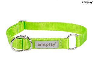 Полуавтоматический ошейник Amiplay Samba, XL, Green цена и информация | Ошейники, подтяжки для собак | 220.lv