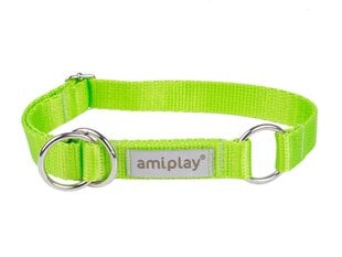 Полуавтоматический ошейник Amiplay Samba, XL, Green цена и информация | Ошейники, подтяжки для собак | 220.lv