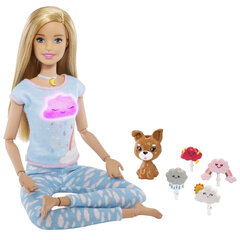 Lelle Barbie ar piederumiem meditācijai Mattel Barbie Wellness „Breath With Me“, GNK01 cena un informācija | Rotaļlietas meitenēm | 220.lv
