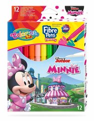 Nomazgājami flomāsteri Colorino Disney Junior Minnie, 12 krāsas cena un informācija | Modelēšanas un zīmēšanas piederumi | 220.lv