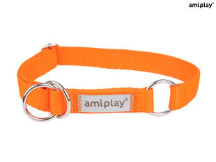 Полуавтоматический ошейник Amiplay Samba, L, Оранжевый цена и информация | Ошейники, подтяжки для собак | 220.lv