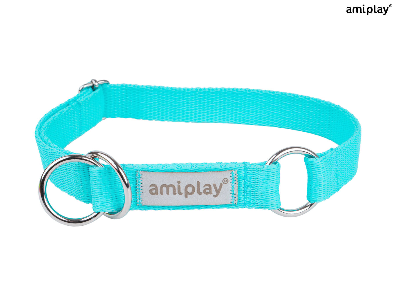 Amiplay cлип-ошейник Samba, XL, Turquoise цена | 220.lv