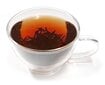 Jasmine Black tea - Ekskluzīva Ķīnas Jasmīnu melnā tēja ar tipšiem, 50g cena un informācija | Tēja | 220.lv