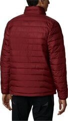 Куртка мужская Columbia Powder Lite Jacket цена и информация | Мужские куртки | 220.lv