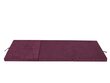 Salokams matracis Hobbygarden Ben L, 180x65 cm, violets cena un informācija | Matrači | 220.lv