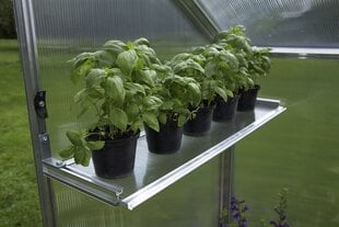 Gardentec Полка для горшков, узкая цена и информация | Теплицы | 220.lv