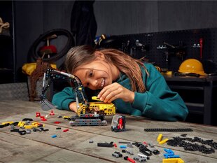 42121 LEGO® Technic Тяжелый экскаватор цена и информация | Kонструкторы | 220.lv