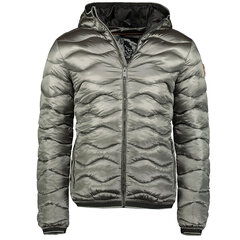 Мужская куртка Geographical Norway Daloha Men Silver 095 цена и информация | Мужские куртки | 220.lv