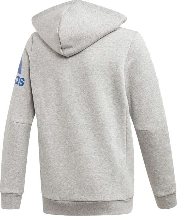 Džemperis zēniem Adidas Sport Track Hoodie Junior ED6486, pelēks cena un informācija | Zēnu jakas, džemperi, žaketes, vestes | 220.lv