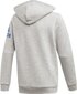 Džemperis zēniem Adidas Sport Track Hoodie Junior ED6486, pelēks cena un informācija | Zēnu jakas, džemperi, žaketes, vestes | 220.lv