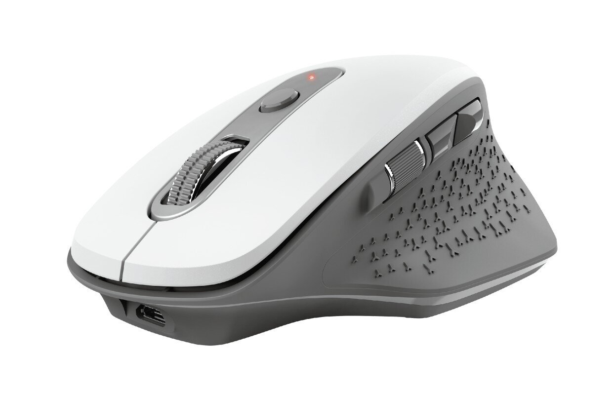 MOUSE USB OPTICAL WRL/OZAA WHITE 24035 TRUST цена и информация | Peles | 220.lv