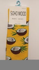 Носки мужские SOHO MOOD цена и информация | Мужские носки | 220.lv