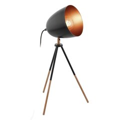 Eglo galda lampa Chester, 49385 цена и информация | Настольные лампы | 220.lv