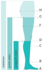 Medicīniskās elastīgās pusgarās kompresijas zeķes, 2 .klase (23-32 mm Hg), Elast 0401 LUX, smilšu cena un informācija | Ķermeņa daļu fiksatori | 220.lv