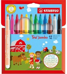 Фломастеры Stabilo Trio Jumbo, 12 цветов цена и информация | Принадлежности для рисования, лепки | 220.lv