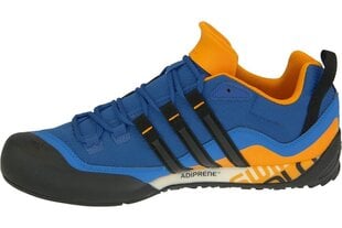 Kedas vīriešiem Adidas Terrex Swift Solo AQ5296, zilas cena un informācija | Sporta apavi vīriešiem | 220.lv