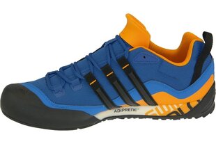 Кеды мужские Adidas Terrex Swift Solo AQ5296, синие цена и информация | Кроссовки для мужчин | 220.lv