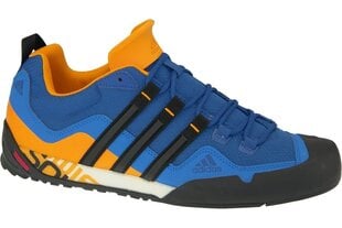 Kedas vīriešiem Adidas Terrex Swift Solo AQ5296, zilas cena un informācija | Sporta apavi vīriešiem | 220.lv