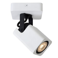 Точечный светильник Roax цена и информация | Потолочный светильник | 220.lv