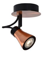 Lampa Bolo цена и информация | Потолочные светильники | 220.lv