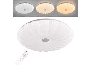 Griestu plafons Flower LED 36 W + tālvadības pults cena un informācija | Griestu lampas | 220.lv