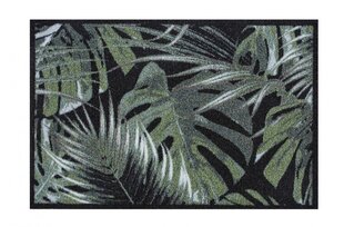 Durvju paklājs Palm Leaves 50x75 cm cena un informācija | Kājslauķi | 220.lv