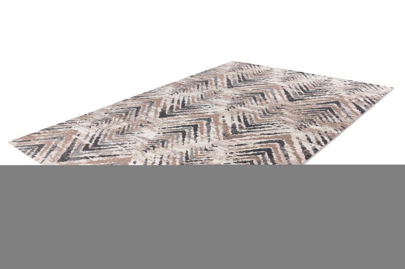 Paklājs Trendy Beige-Silver 120x170 cm internetā