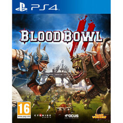 Sony PS4 Blood Bowl 2 цена и информация | Компьютерные игры | 220.lv