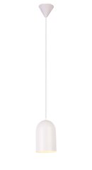 Светильник Ledea Oss White цена и информация | Настенный/подвесной светильник Eye Spot 11 BL, чёрный | 220.lv