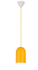 Светильник Ledea Oss Yellow цена и информация | Настенный/подвесной светильник Eye Spot 11 BL, чёрный | 220.lv