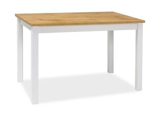 Стол Signal Meble Adam, 100x60, коричневый/белый цена и информация | Кухонные и обеденные столы | 220.lv