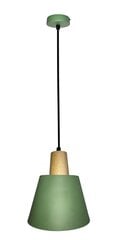 Светильник Ledea Faro Green цена и информация | Настенный/подвесной светильник Eye Spot 11 BL, чёрный | 220.lv