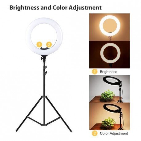 Lampa Selfie Ring ar akumulatoru, 26 cm, 8 W, melna cena un informācija | Apgaismojums fotografēšanai | 220.lv