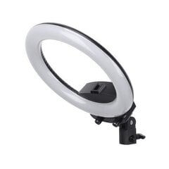 Lampa Selfie Ring ar akumulatoru, 26 cm, 8 W, melna цена и информация | Осветительное оборудование для фотосъемок | 220.lv