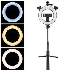 Hallo Vlogging Tripod P40D3 Селфи штатив с LED лампой и пультом управления цена и информация | Моноподы для селфи («Selfie sticks») | 220.lv