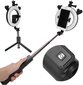 Hallo Vlogging Tripod Selfie P40D3 tripods ar LED lampu un tālvadības pulti cena un informācija | Selfie Sticks | 220.lv