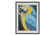 Dekorēšanas komplekts Diamond Painting Parrot, 30x40 cm цена и информация | Dimantu mozaīkas | 220.lv
