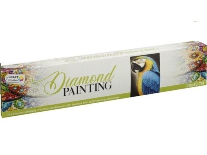 Dekorēšanas komplekts Diamond Painting Parrot, 30x40 cm цена и информация | Dimantu mozaīkas | 220.lv