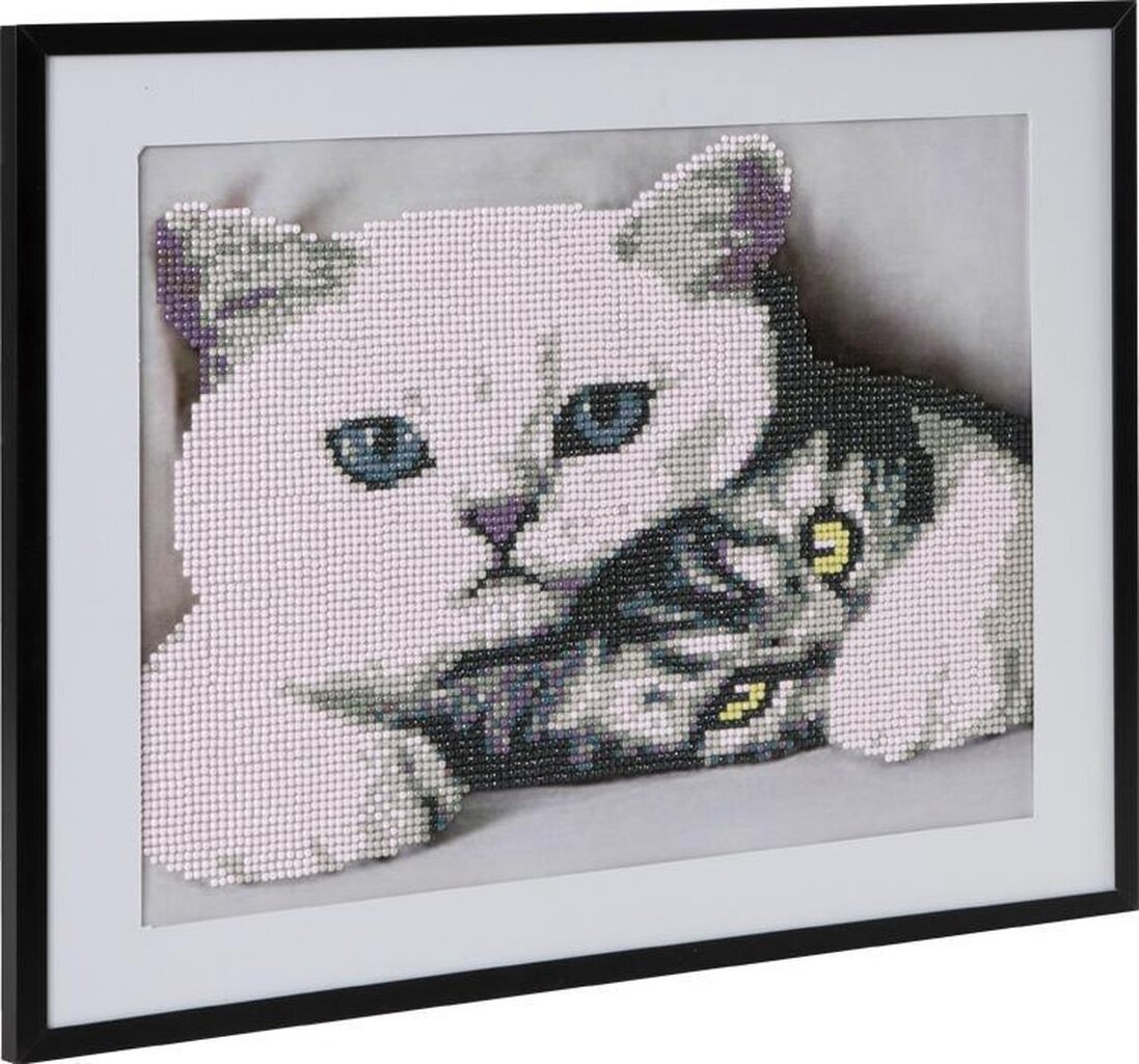 Dekorēšanas komplekts Diamond Painting Cats, 30x40 cm cena un informācija | Dimantu mozaīkas | 220.lv