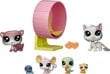 Figūriņu komplekts Spēļu namiņš Hasbro Littlest Pet Shop cena un informācija | Rotaļlietas meitenēm | 220.lv