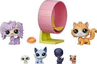 Figūriņu komplekts Spēļu namiņš Hasbro Littlest Pet Shop cena un informācija | Littlest Pet Shop Rotaļlietas, bērnu preces | 220.lv