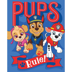 Bērnu pleds Paw Patrol, 130x170 cm cena un informācija | Gultas pārklāji, pledi | 220.lv