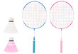 Badmintona komplekts Atom Sports Giant цена и информация | Badmintons | 220.lv
