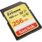 SanDisk Extreme SDXC Card, 256GB cena un informācija | Atmiņas kartes fotokamerām | 220.lv