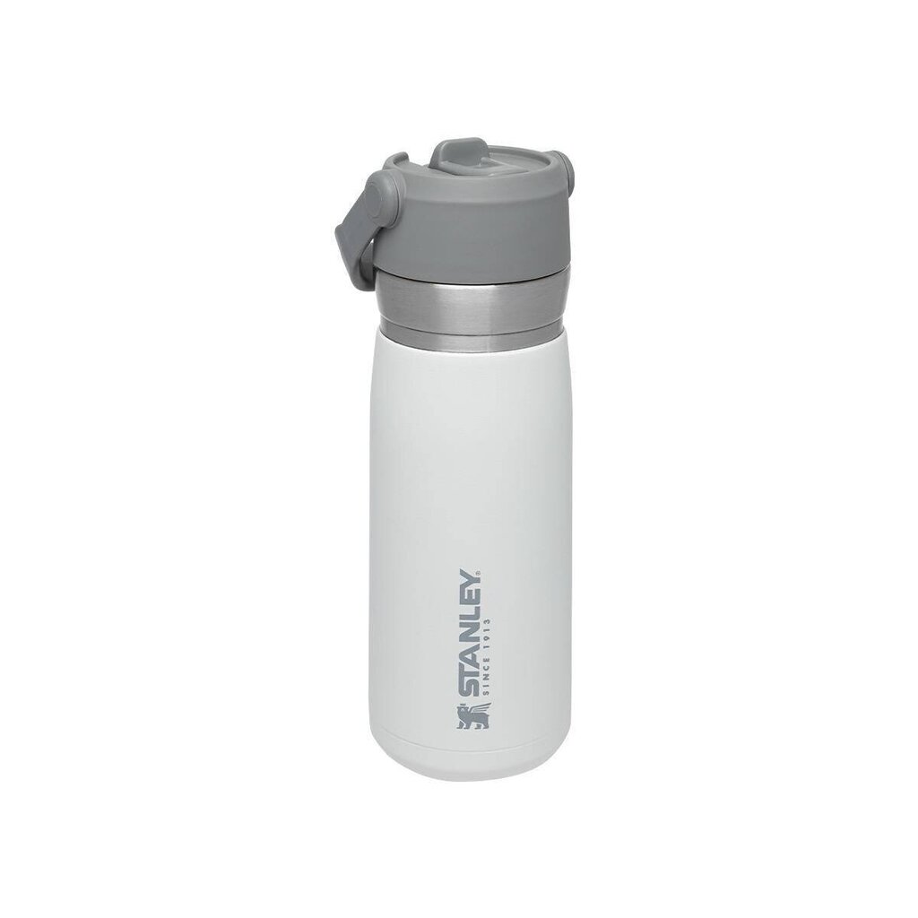 Termopudele ar salmiņu The IceFlow Flip Straw Water Bottle Go 0,65L balta cena un informācija | Termosi, termokrūzes | 220.lv