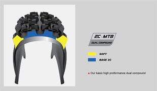 Велошина MTB Chaoyang H-5234 PHANTOM DRY 29x2.20, 60TPI, Tubeless Ready цена и информация | Покрышки, шины для велосипеда | 220.lv