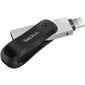 Sandisk iXpand Flash Drive Go 256GB, USB 3.0, USB-A, Lightning цена и информация | USB Atmiņas kartes | 220.lv